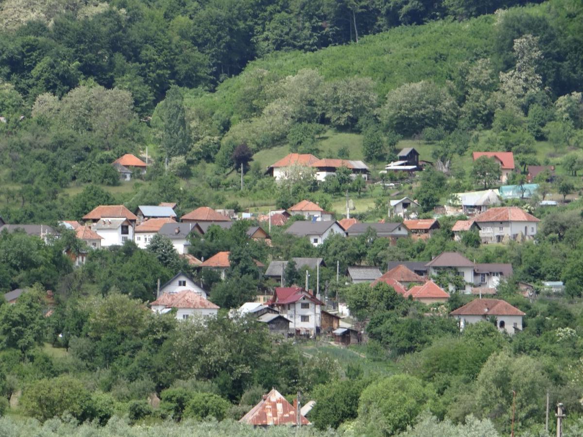 Pensiunea Lacul Albesti Albestii Paminteni Buitenkant foto