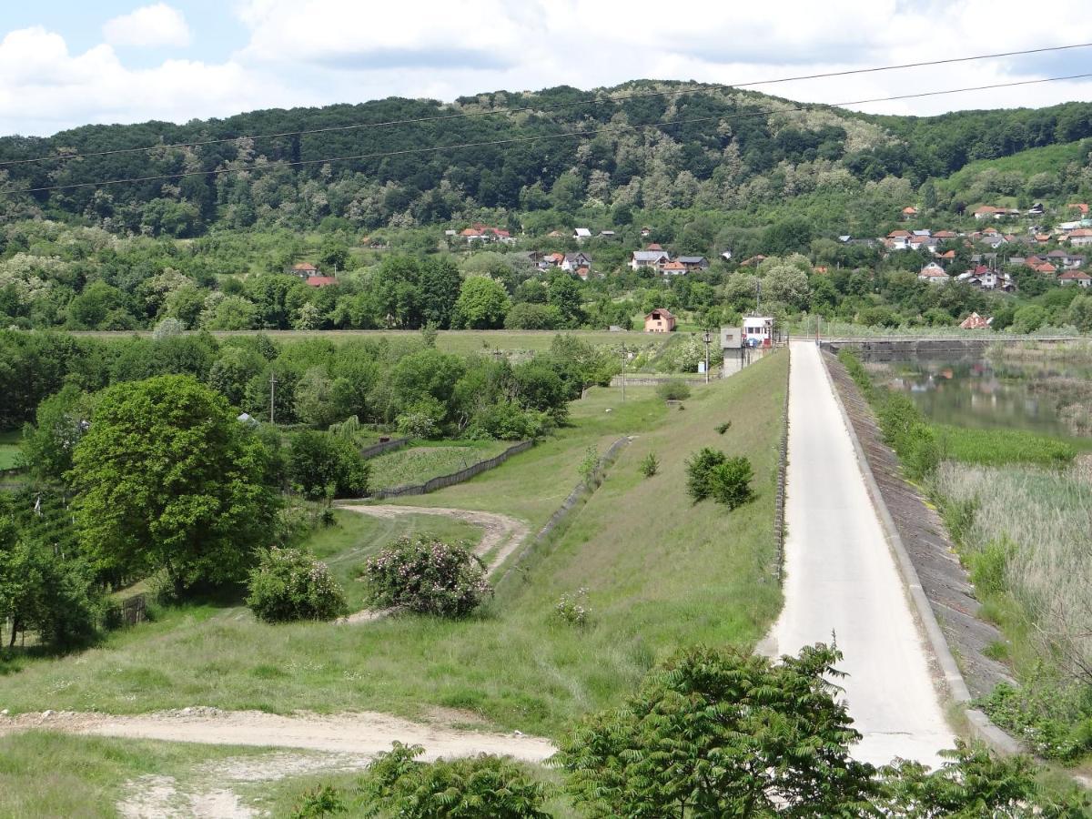 Pensiunea Lacul Albesti Albestii Paminteni Buitenkant foto