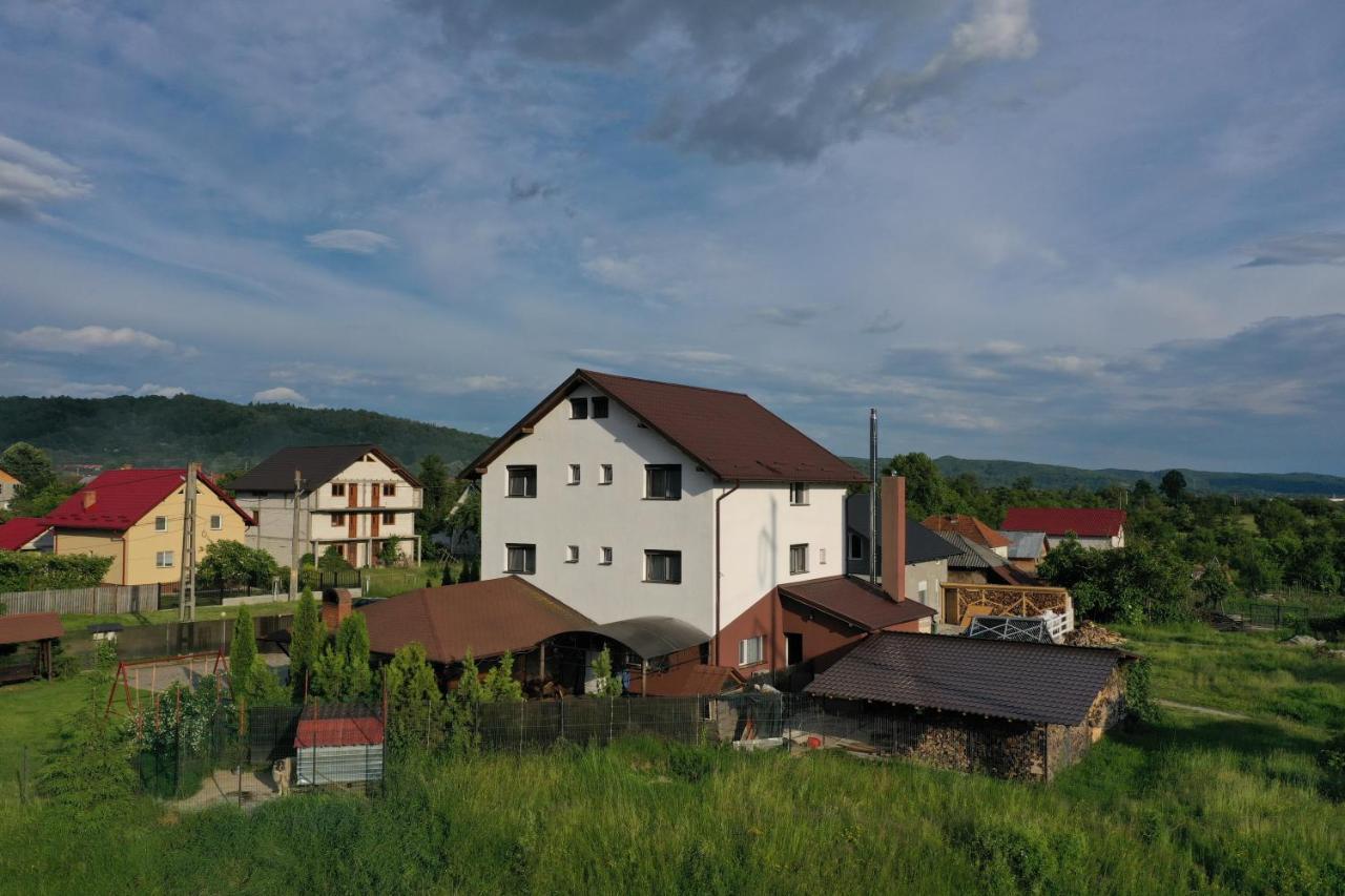 Pensiunea Lacul Albesti Albestii Paminteni Buitenkant foto