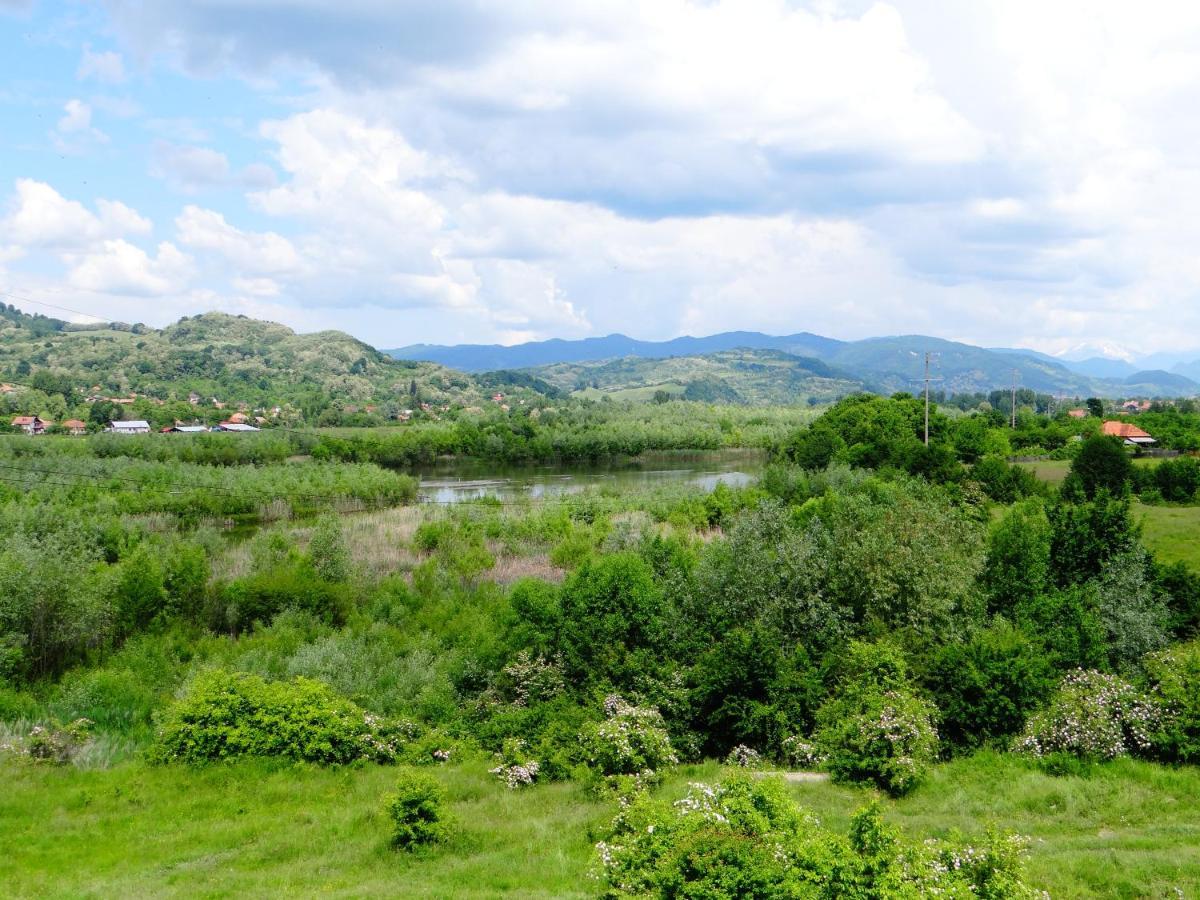 Pensiunea Lacul Albesti Albestii Paminteni Buitenkant foto