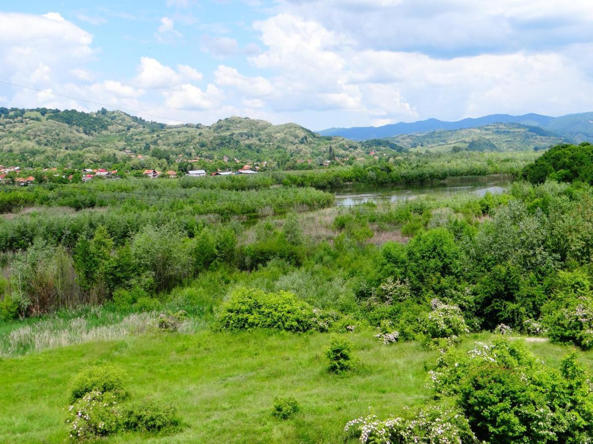 Pensiunea Lacul Albesti Albestii Paminteni Buitenkant foto