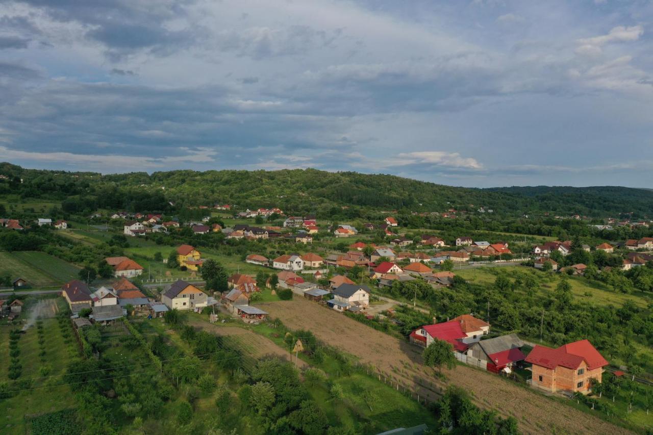 Pensiunea Lacul Albesti Albestii Paminteni Buitenkant foto