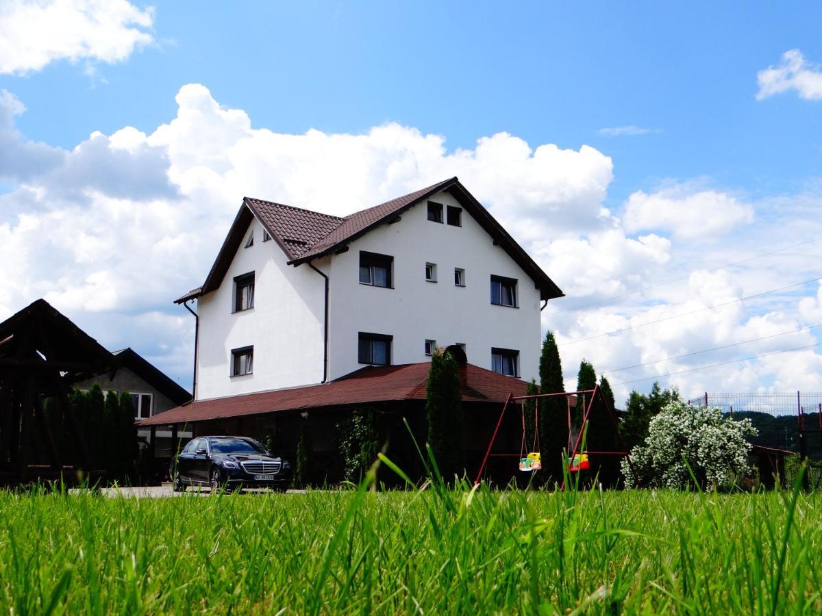 Pensiunea Lacul Albesti Albestii Paminteni Buitenkant foto
