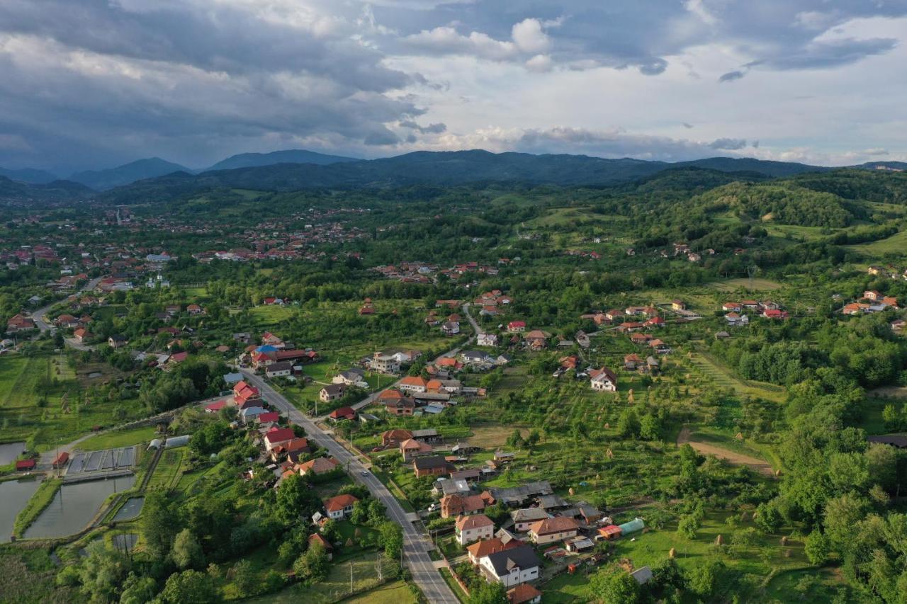 Pensiunea Lacul Albesti Albestii Paminteni Buitenkant foto