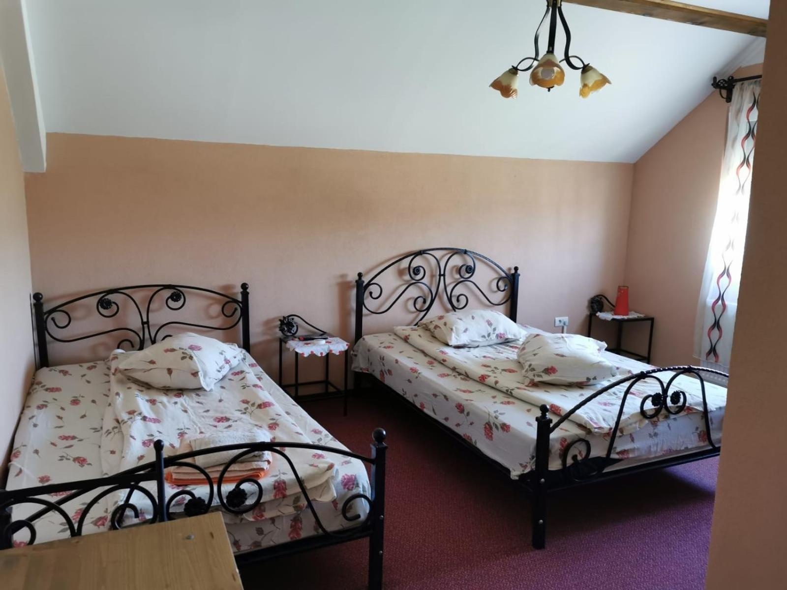 Pensiunea Lacul Albesti Albestii Paminteni Kamer foto