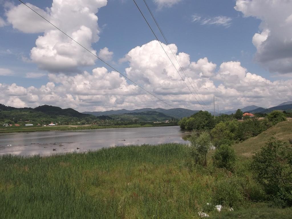 Pensiunea Lacul Albesti Albestii Paminteni Buitenkant foto