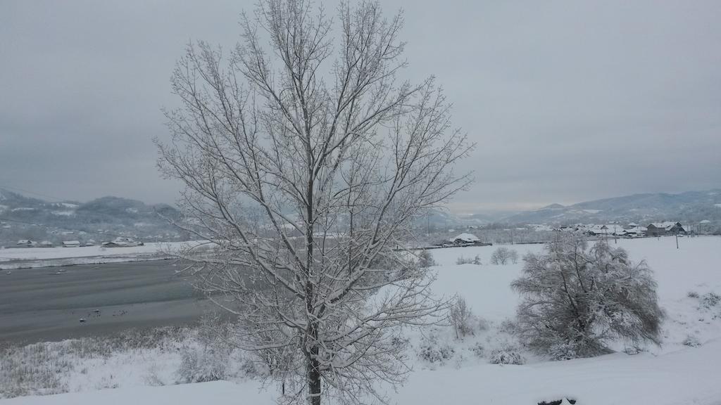 Pensiunea Lacul Albesti Albestii Paminteni Buitenkant foto
