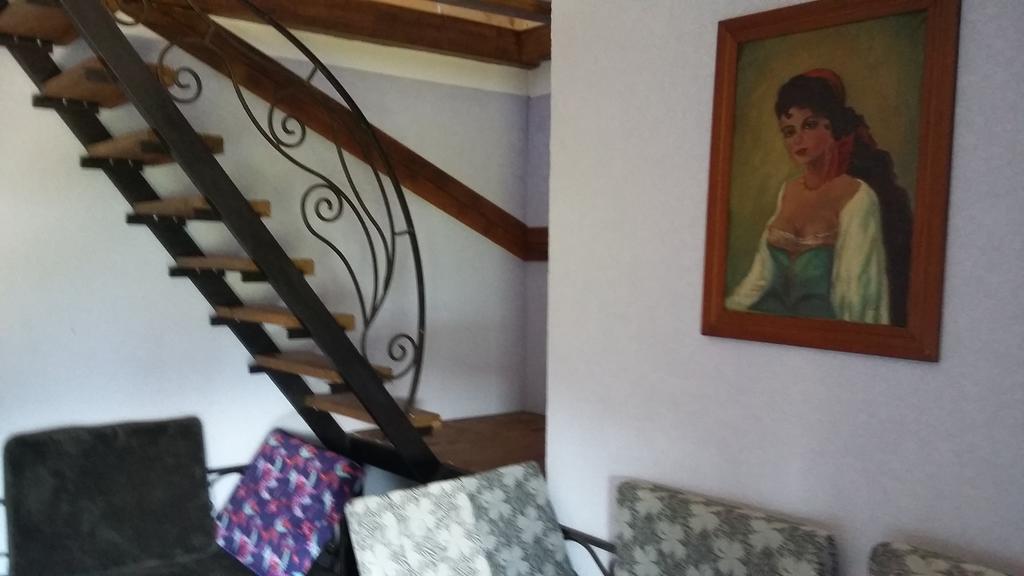 Pensiunea Lacul Albesti Albestii Paminteni Buitenkant foto